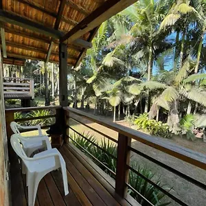 https://sitio-aracua.santa-catarina-brasil.com